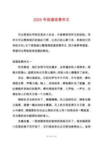 2025年街道夜景作文