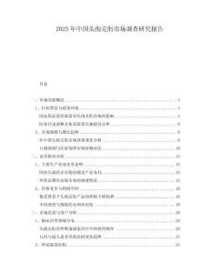 2025年中國頭孢克肟市場調查研究報告