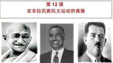 3.12亞非拉民族民主運(yùn)動(dòng)的高漲 統(tǒng)編版九年級歷史下冊