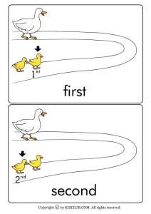 英語單詞閃卡——序數詞ordinal