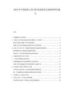 2025年中國現場土基CBR值試驗儀市場調查研究報告