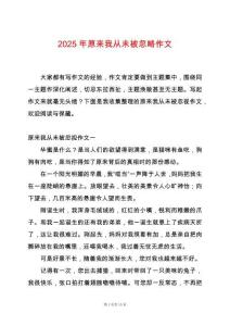 2025年原來我從未被忽略作文
