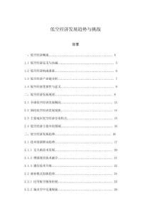 低空經(jīng)濟(jì)發(fā)展趨勢與挑戰(zhàn)