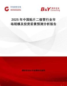 2025年中國貼片二極管行業市場規模及投資前景預測分析報告