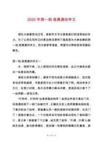 2025年那一刻我真激動作文