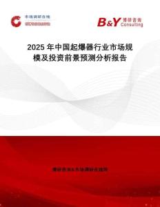 2025年中國(guó)起爆器行業(yè)市場(chǎng)規(guī)模及投資前景預(yù)測(cè)分析報(bào)告