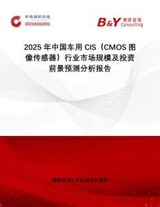 2025年中國車用CIS（CMOS圖像傳感器）行業市場規模及投資前景預測分析報告