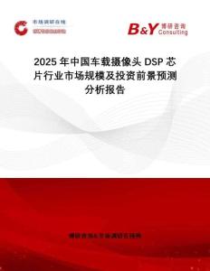 2025年中國車載攝像頭DSP芯片行業市場規模及投資前景預測分析報告