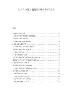 2025年中國AA超能膠市場調(diào)查研究報告