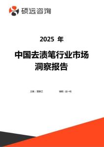 2025年中國去漬筆行業(yè)市場洞察報告