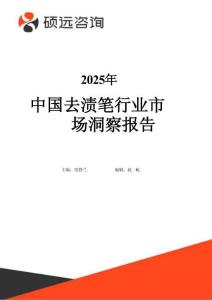 2025年中國去漬筆行業(yè)市場洞察報告