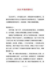 2025年我仰望作文