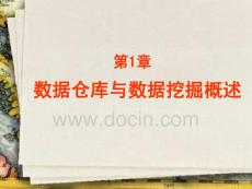 數(shù)據(jù)倉庫與數(shù)據(jù)挖掘課件