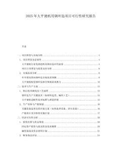 2025年大平燙機(jī)用鋼絲氈項(xiàng)目可行性研究報(bào)告