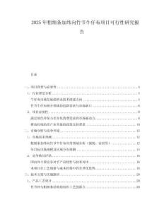 2025年粗細條加緯向竹節牛仔布項目可行性研究報告