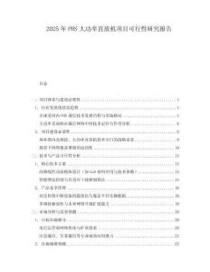 2025年P(guān)HS大功率直放機(jī)項(xiàng)目可行性研究報(bào)告