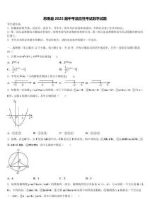 思南縣2025屆中考適應(yīng)性考試數(shù)學(xué)試題含解析