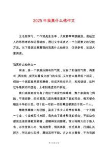 2025年我真什么他作文