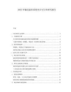 2025年輸送懸掛系統(tǒng)項目可行性研究報告