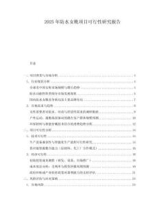 2025年防水女靴項目可行性研究報告