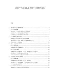 2025年電動(dòng)打扎器項(xiàng)目可行性研究報(bào)告