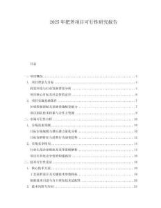 2025年把斧項(xiàng)目可行性研究報(bào)告