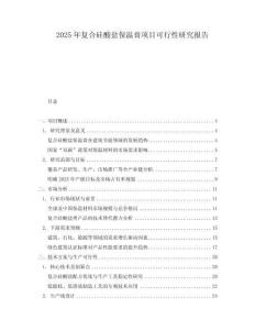 2025年復合硅酸鹽保溫膏項目可行性研究報告