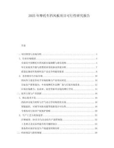 2025年摩托車(chē)擋風(fēng)板項(xiàng)目可行性研究報(bào)告