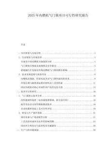2025年內燃機氣門簧項目可行性研究報告
