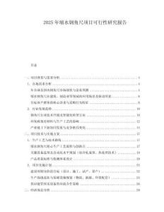 2025年縮水鋼角尺項目可行性研究報告