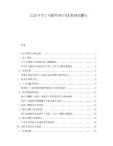 2025年手工小提琴項目可行性研究報告