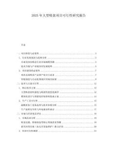 2025年大型吸盤項(xiàng)目可行性研究報(bào)告