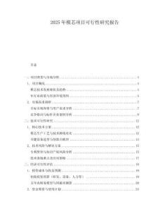 2025年模芯項目可行性研究報告