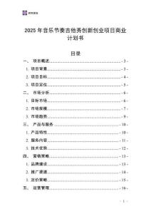 2025年音樂節(jié)奏吉他秀創(chuàng)新創(chuàng)業(yè)項目商業(yè)計劃書
