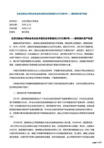 北京注冊會計師協會專業技術委員會專家提示[2020]第9號——國有境外資產檢查