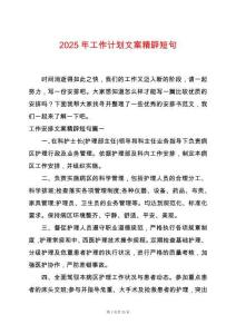 2025年工作計劃文案精辟短句