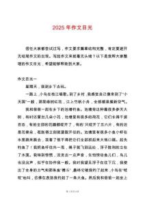 2025年作文目光