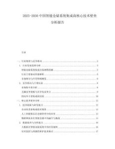 2025-2030中國智能倉儲系統(tǒng)集成商核心技術(shù)壁壘分析報告