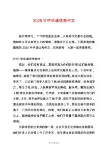 2025年中華魂優(yōu)秀作文