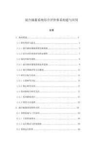 混合抽蓄系統綜合評價體系構建與應用