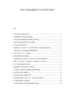 2025年弧面硬膠項目可行性研究報告