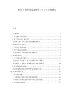 2025年踝骨固定支具項目可行性研究報告