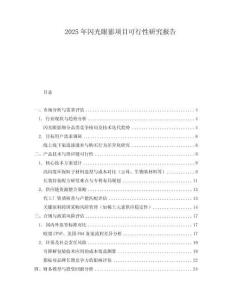 2025年閃光眼影項目可行性研究報告