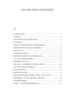 2025年剎口劑項(xiàng)目可行性研究報(bào)告