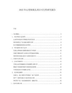 2025年心型海綿頭項目可行性研究報告