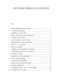 2025年塑料柄不銹鋼餐具項目可行性研究報告