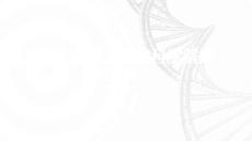 思密達與壓瘡治療的科學解析