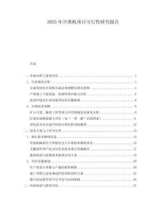 2025年開鑿機項目可行性研究報告