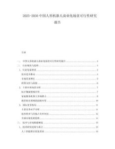 2025-2030中國人形機器人商業化場景可行性研究報告