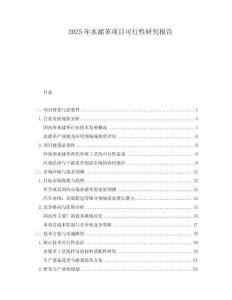2025年水揉革項(xiàng)目可行性研究報(bào)告